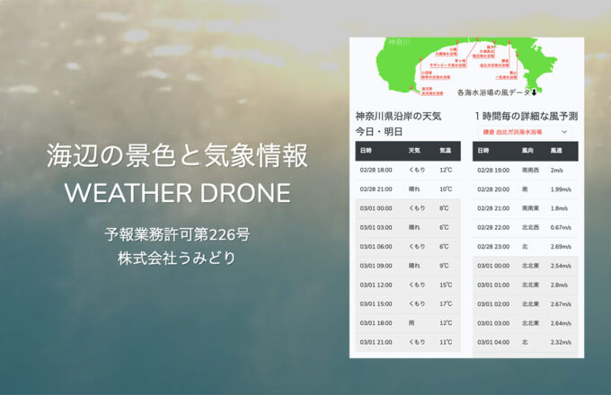 WEATHER DRONE